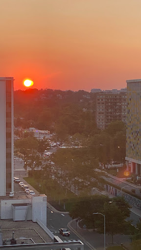 Shopping Mall «Crystal City Shops», reviews and photos, 2200 Crystal Dr, Arlington, VA 22202, USA