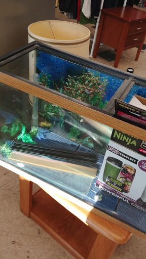 Thrift Store «DAV», reviews and photos, 36660 Gratiot Ave, Charter Twp of Clinton, MI 48035, USA