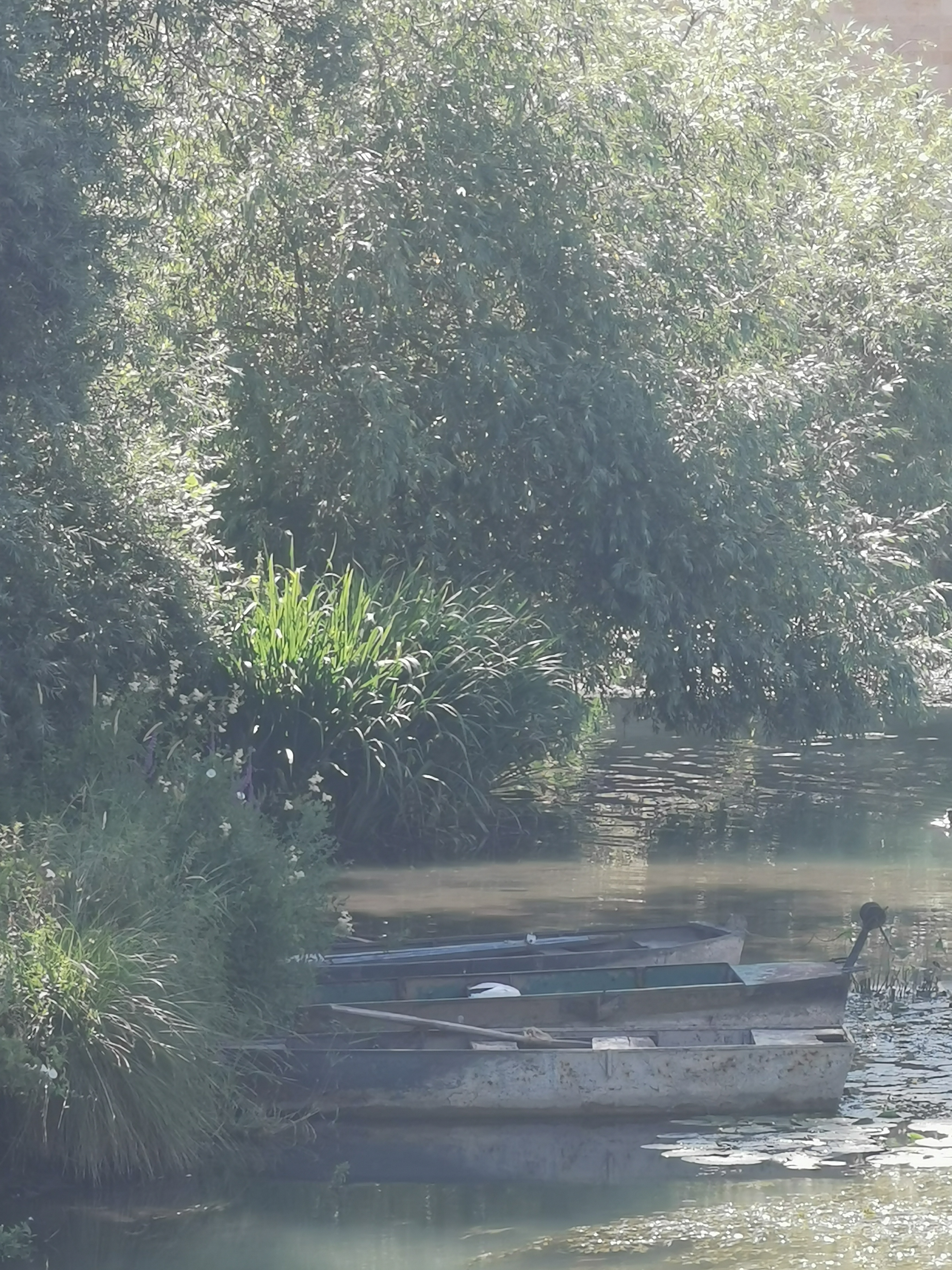 Photo n° 35 de l'avis de Phidis.a fait le 10/07/2019 à 10:30