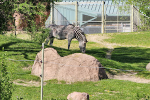 Toronto Zoo