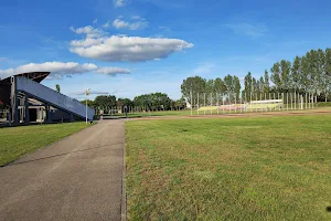 Tauragė Vytautas Stadium image