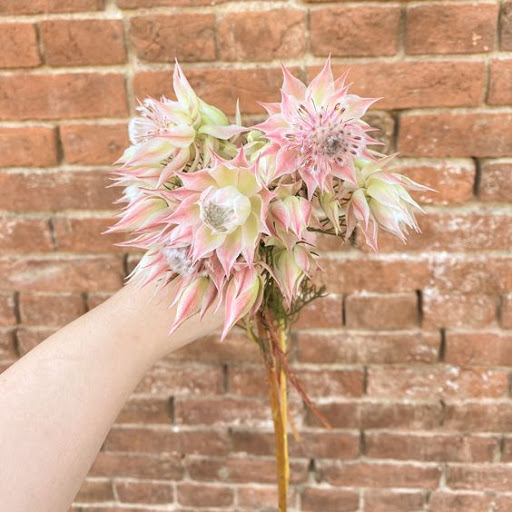 Florist «Sonora Florist and gifts», reviews and photos, 35 S Washington St, Sonora, CA 95370, USA