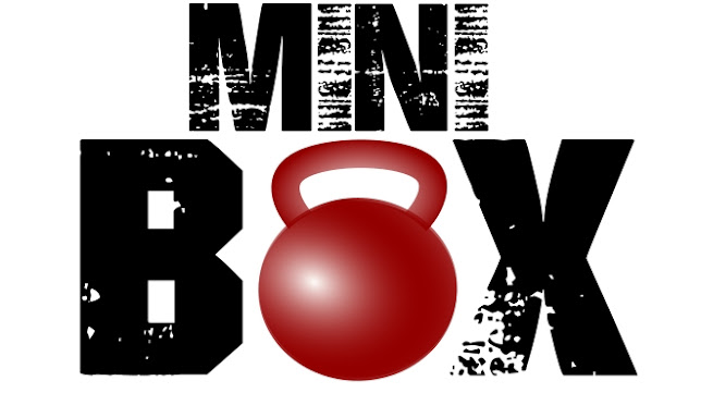 Miniboxcrosstraining