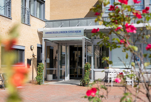 Ammerudlunden nursing homes