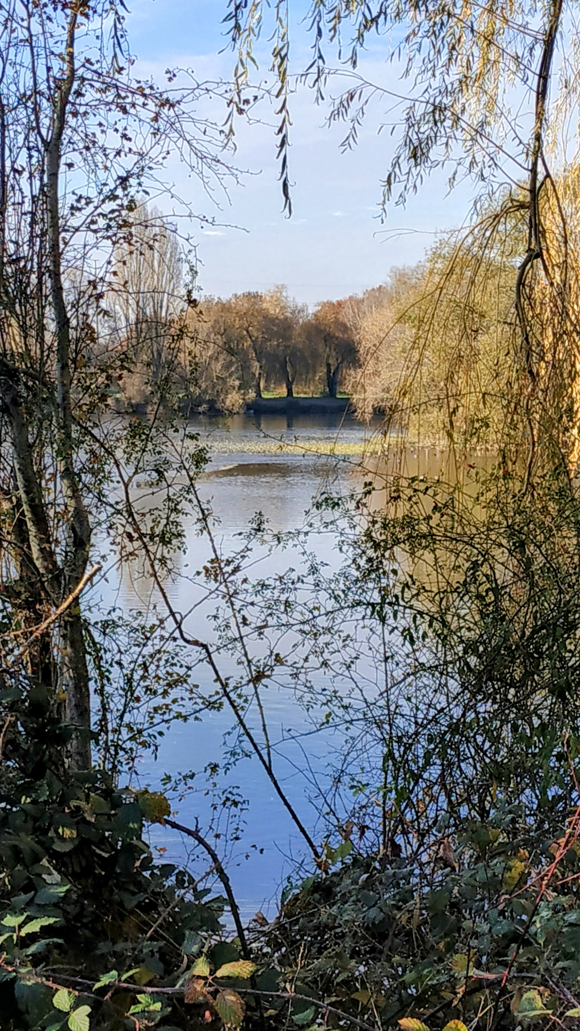 Photo n° 14 de l'avis de The.a fait le 13/12/2022 à 17:11
