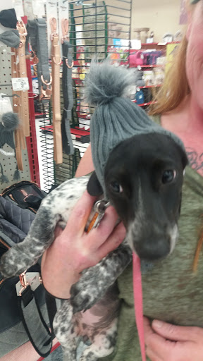 Pet Supply Store «Petco Animal Supplies», reviews and photos, 5239 Harvey St, Norton Shores, MI 49444, USA