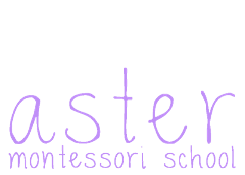 Aster Montessori School