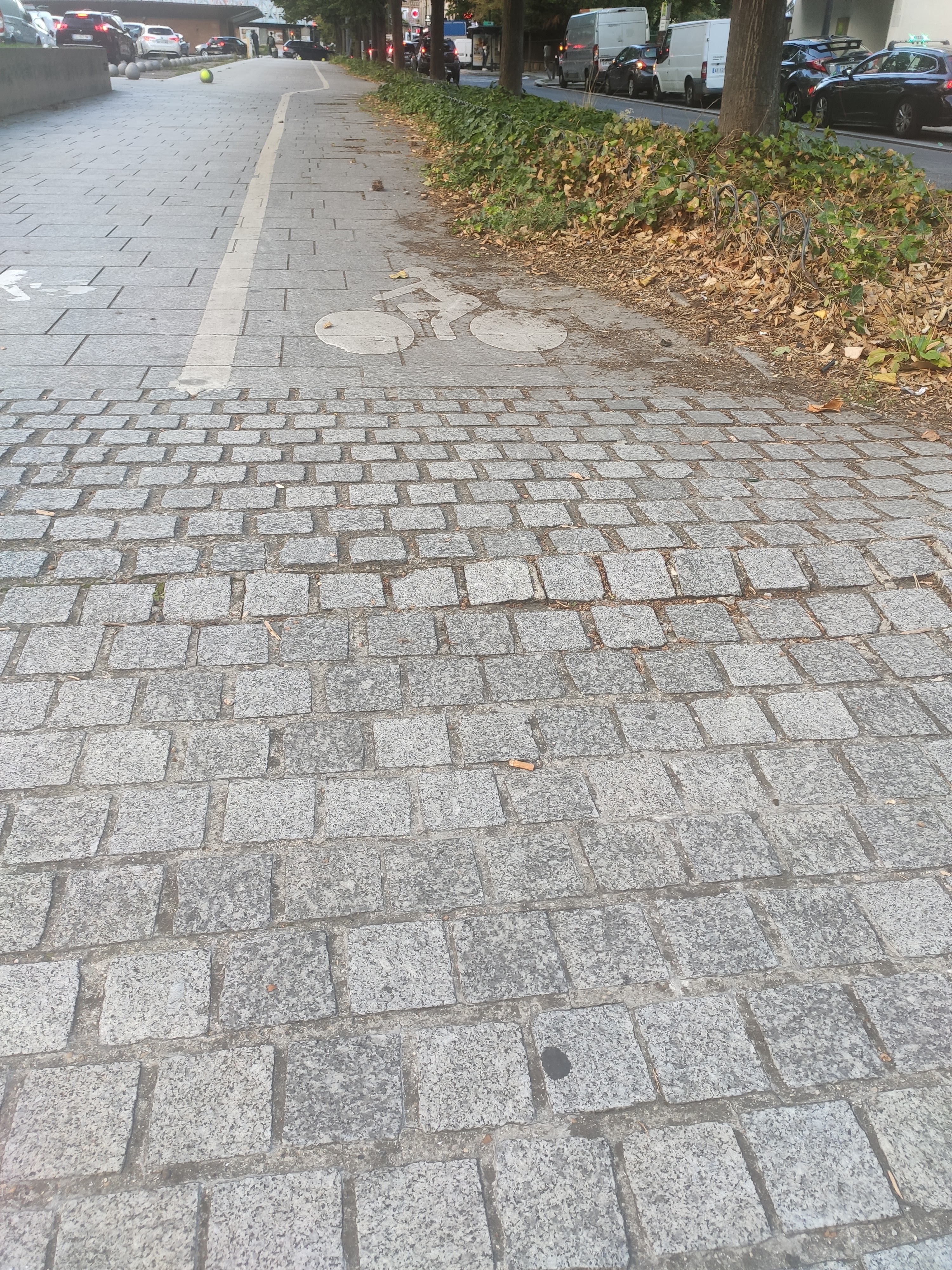 Photo n° 1 de l'avis de Jeanjacques.l fait le 12/12/2023 à 09:22