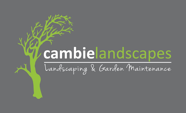 Reviews of Cambie Landscapes in Tauranga - Landscaper