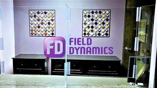 Field Dynamics