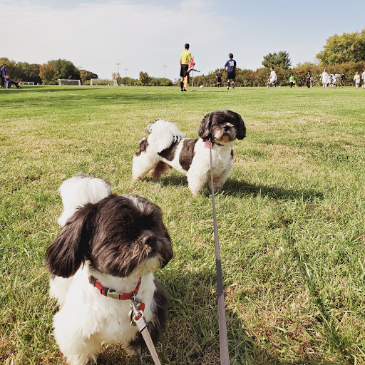 Park «Sherando Park», reviews and photos, 255 Lakeview Cir, Stephens City, VA 22655, USA