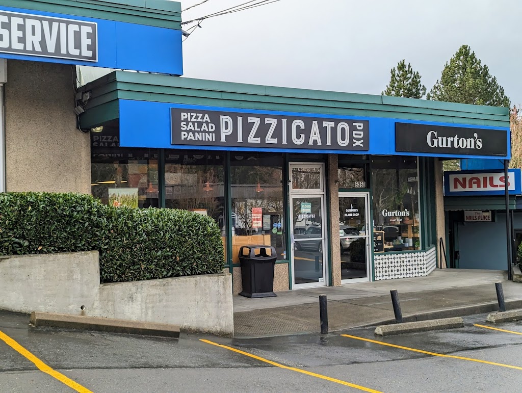 Pizzicato Pizza 97239