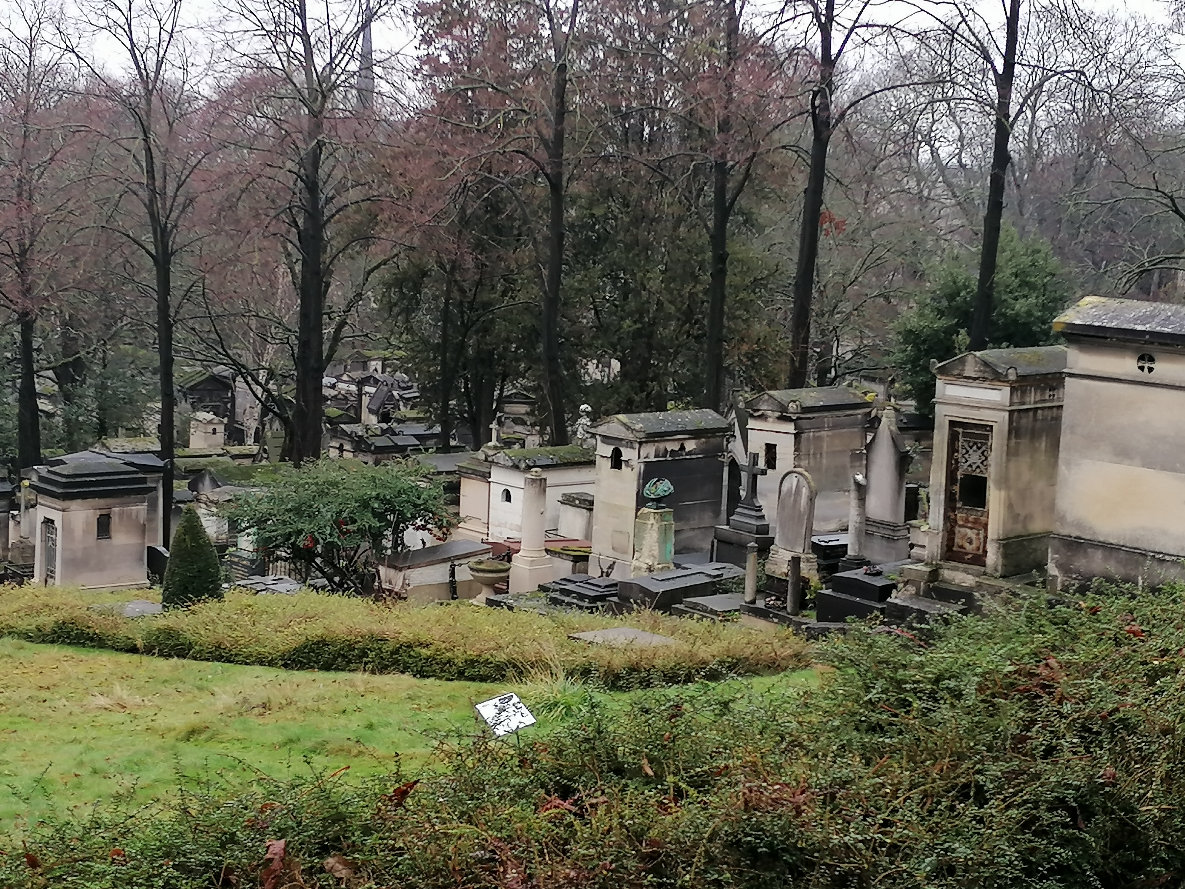 Photo n° 16 de l'avis de Jj.r fait le 26/12/2021 à 07:09