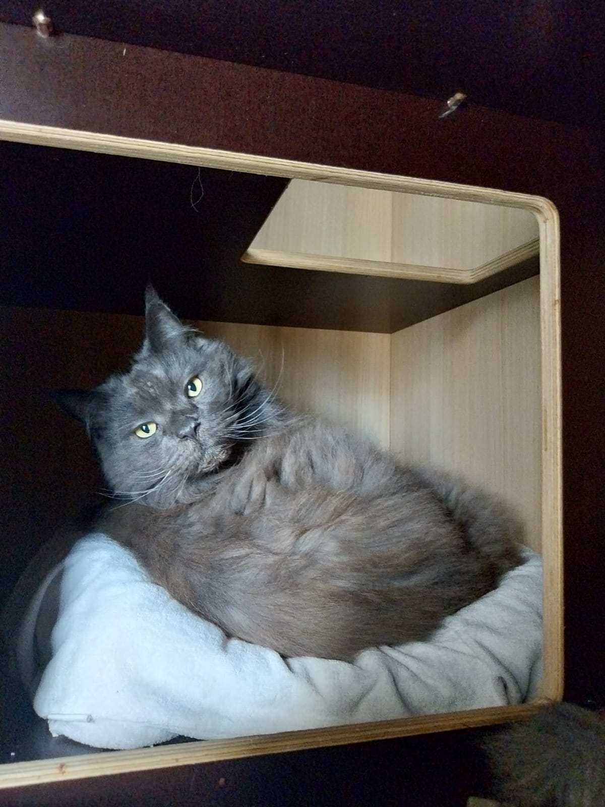 Photo n° 5 de l'avis de Lisa.O fait le 29/11/2023 à 10:08