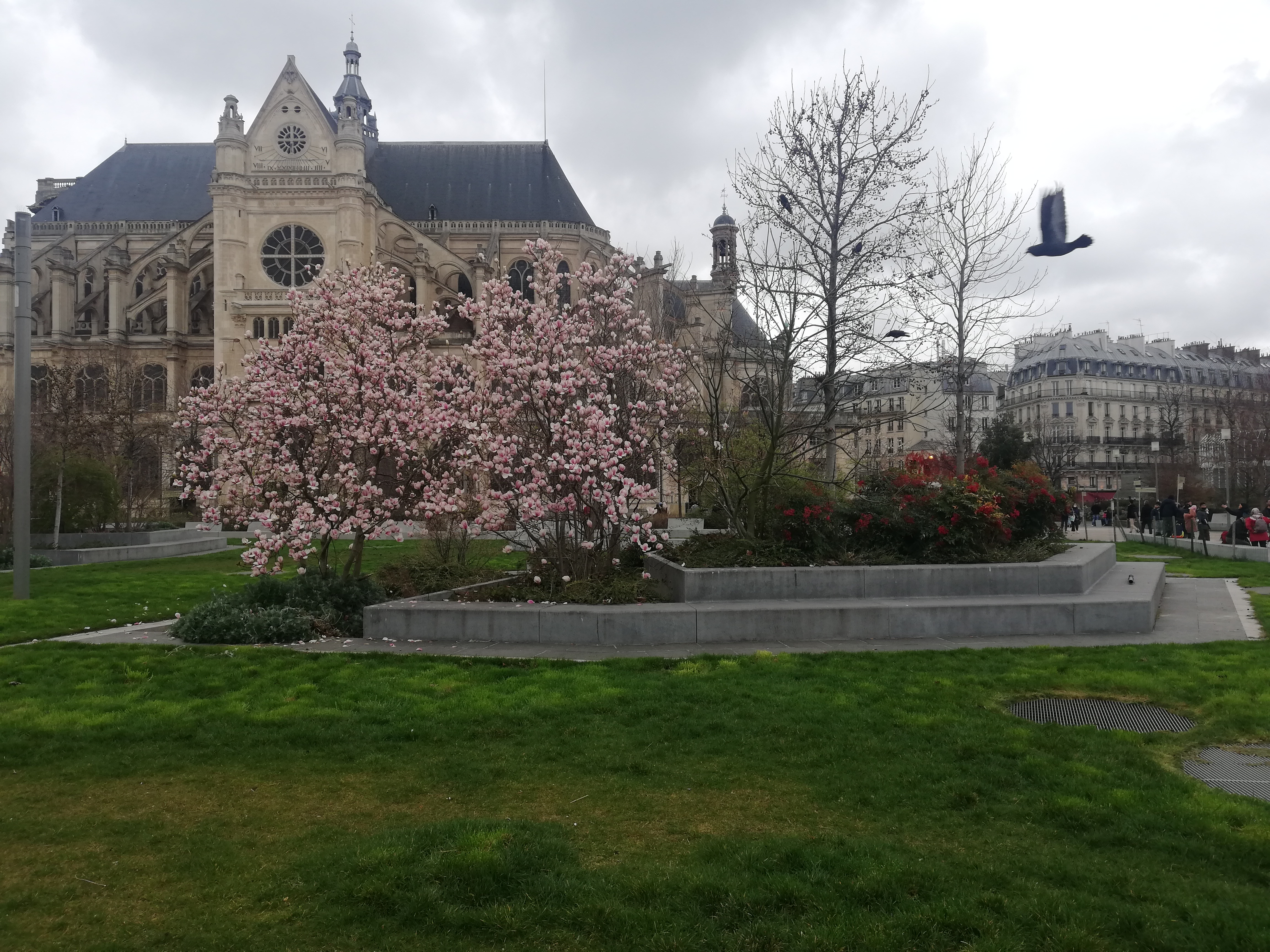 Photo n° 2 de l'avis de B. fait le 12/03/2022 à 12:16