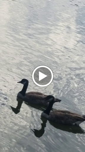 Recreation Center «Newton County Recreation Commission», reviews and photos, 6185 Turner Lake Road, Covington, GA 30014, USA