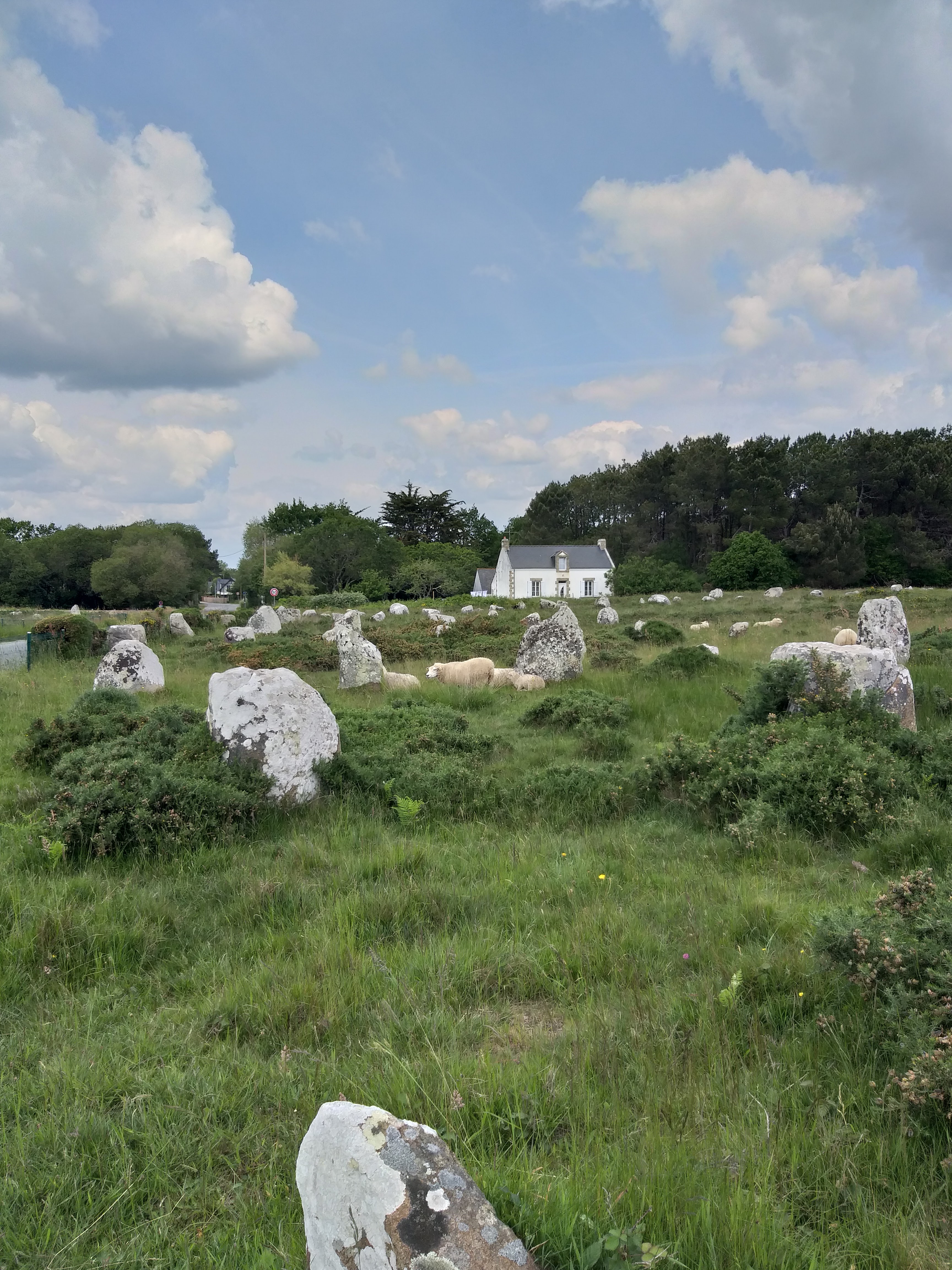 Photo n° 2 de l'avis de Soph. fait le 18/05/2023 à 17:01