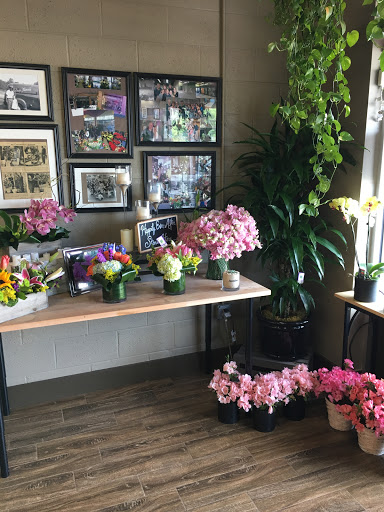 Florist «Palace Florists», reviews and photos, 4980 Wyaconda Rd b, Rockville, MD 20852, USA