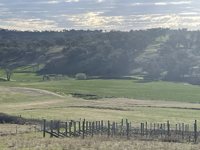 Vale Creek Wines