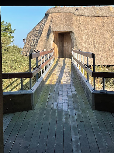 Anmeldelser af Vejlernes Naturcenter i Thisted - Museum