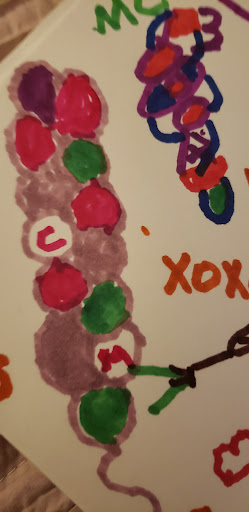 Art Museum «Blaffer Art Museum», reviews and photos, 4173 Elgin St, Houston, TX 77004, USA