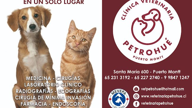 Clínica Veterinaria Petrohue - Veterinario