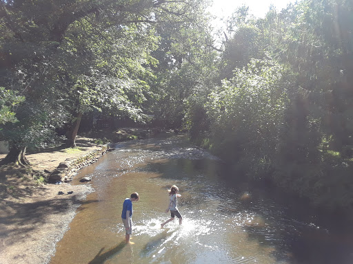 Park «Lynden City Park», reviews and photos