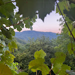 Photo n°1 de l'avis de Alessandro.i fait le 01/08/2022 à 23:46 sur le  La Bottega di Castagneto à Castagneto