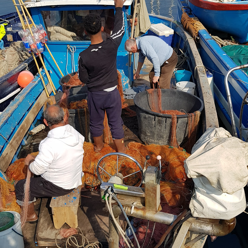 Eurofish Napoli Srl - Sede Di Bacoli