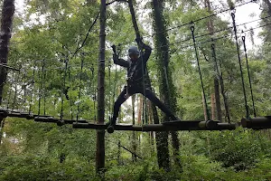 Zipit Forest Adventures image