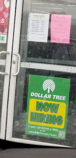 Dollar Store «Dollar Tree», reviews and photos, 1432 Lake St S A, Forest Lake, MN 55025, USA