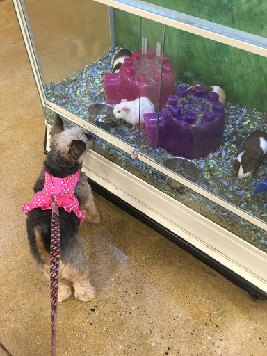 Pet Supply Store «PetSmart», reviews and photos, 162 S Gary Ave, Bloomingdale, IL 60108, USA