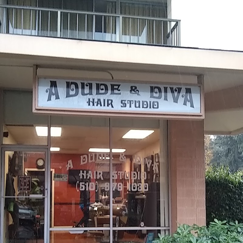 A Dude & Diva Hair Studio