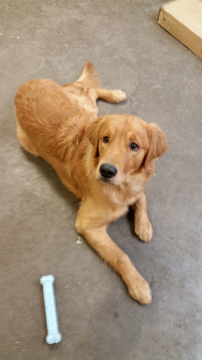 Florist «Flowers On The Avenue», reviews and photos, 1138 E 9th St, Muscatine, IA 52761, USA