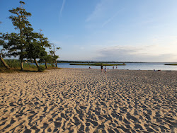 Plage Du Lac - Parentis'in fotoğrafı - rahatlamayı sevenler arasında popüler bir yer