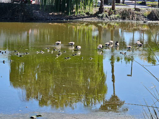 SacWest RV Park & Campground image