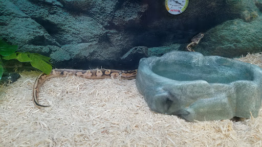 Pet Supply Store «Petco Animal Supplies», reviews and photos, 280 Kensington Blvd, Slidell, LA 70458, USA