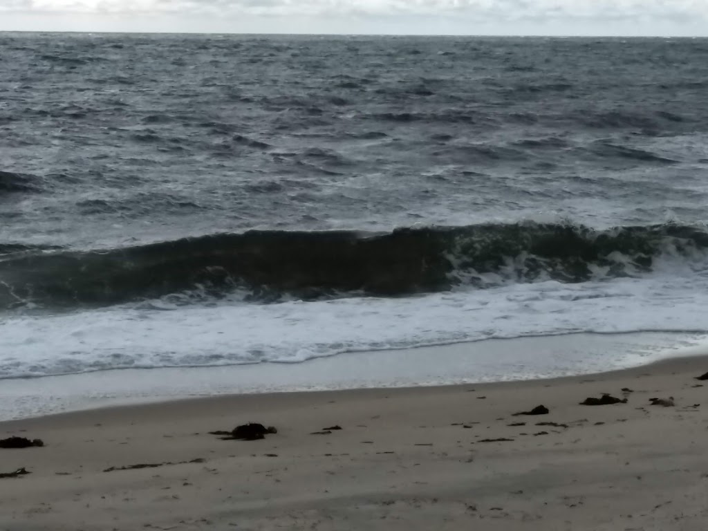 Hands of an Angel Healing 02660