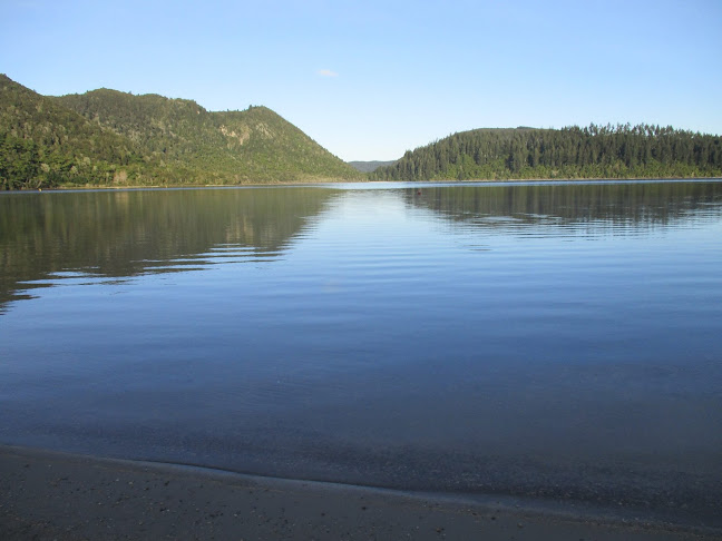 Lake Tikitapu (Blue Lake) - Murupara