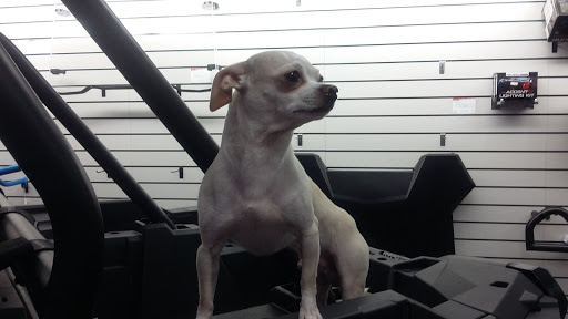 Motorcycle Dealer «MR Motorcycle», reviews and photos, 774 Hendersonville Rd, Asheville, NC 28803, USA