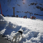 Photo n° 3 de l'avis de Frantz.a fait le 02/01/2020 à 09:52 pour Clinique Vétérinaire De La Battière Des Docteurs Mathon-Barneoud et Bernardi-Loddé à Fonsorbes