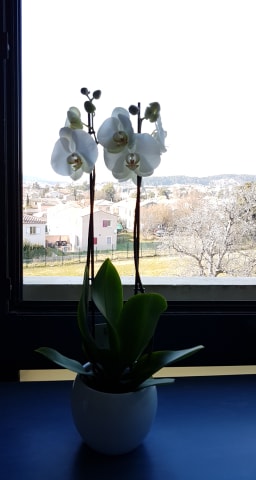 Photo n° 1 de l'avis de Louis.O fait le 23/02/2019 à 14:35