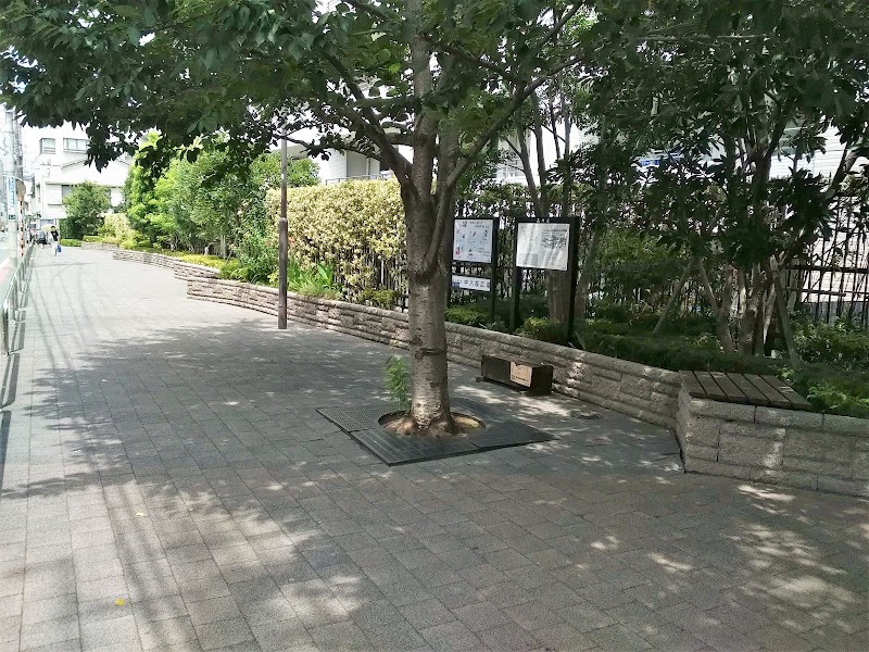 中六桜広場