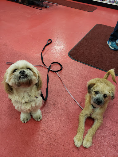 Pet Supply Store «Ma & Paws Bakery», reviews and photos, 1227 E 3300 S, Millcreek, UT 84106, USA