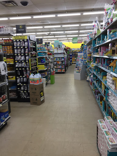 Discount Store «Dollar General», reviews and photos, 3901 Fort St, Wyandotte, MI 48192, USA