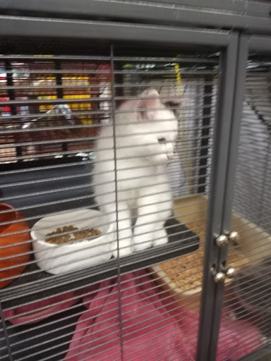 Pet Store «A to Z Pets», reviews and photos, 16010 SE Division St, Portland, OR 97236, USA