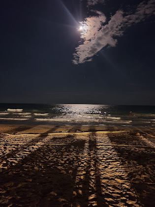 Photos des visiteurs Appartamento vacanze Residence Cà D'oro 30016 Lido di Jesolo