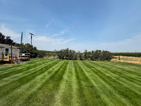 C&E LANDSCAPING LLC - Photo 3 - Car repair in , Yakima