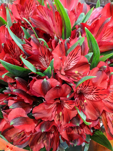 Grocery Store «Lunds & Byerlys Bloomington», reviews and photos, 5159 W 98th St, Bloomington, MN 55437, USA