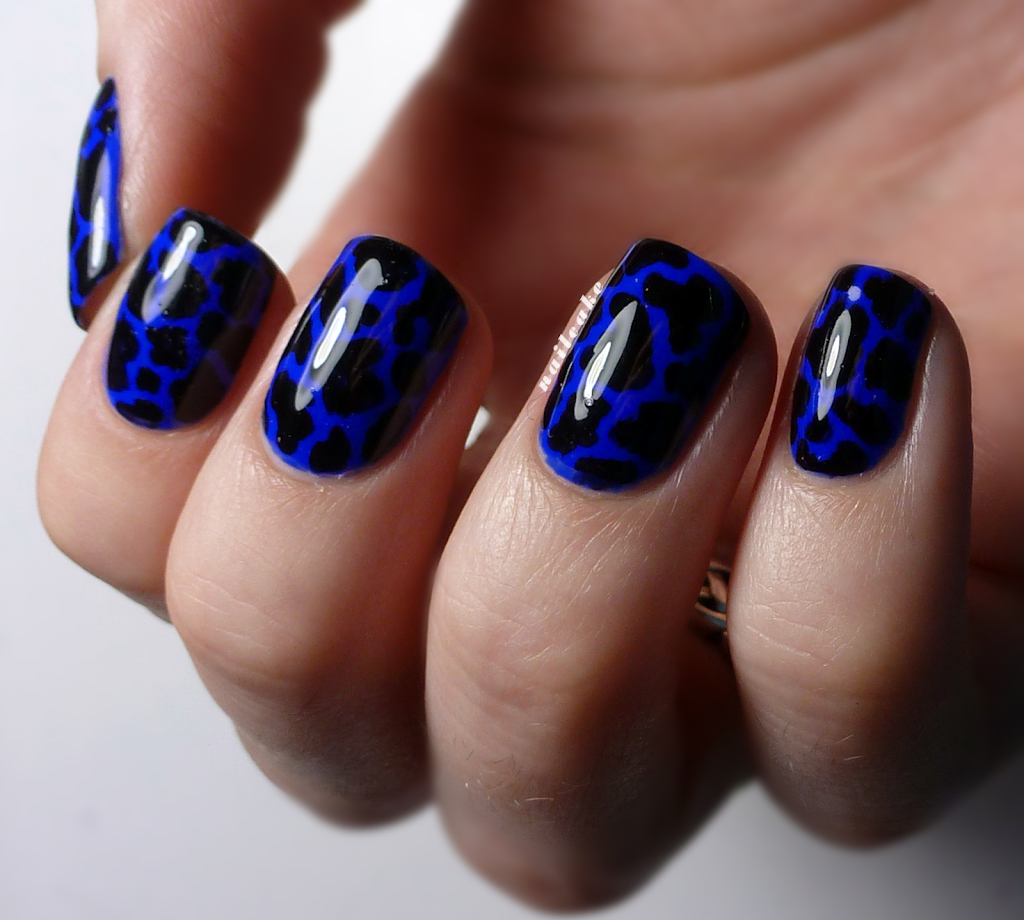 Kim's Beauty Salon 01851